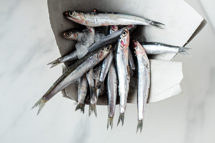 Boquerones frescos de la bahía de Cádiz ideales para freír, empanar, en vinagre. Comprar pescado en Cádiz. Haz tu compra online de productos de mercado de abastos de Cádiz y te lo llevamos a tu casa. Mercados de Cádiz (+34) 698 98 41 46