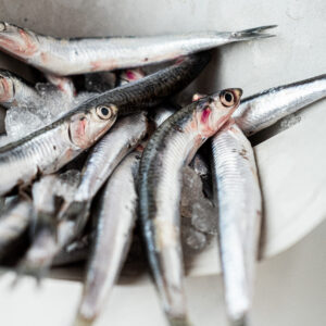 Boquerones frescos de la bahía de Cádiz ideales para freír, empanar, en vinagre. Comprar pescado en Cádiz. Haz tu compra online de productos de mercado de abastos de Cádiz y te lo llevamos a tu casa. Mercados de Cádiz (+34) 698 98 41 46