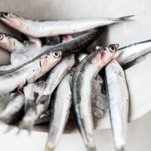 Boquerones frescos de la bahía de Cádiz ideales para freír, empanar, en vinagre. Comprar pescado en Cádiz. Haz tu compra online de productos de mercado de abastos de Cádiz y te lo llevamos a tu casa. Mercados de Cádiz (+34) 698 98 41 46