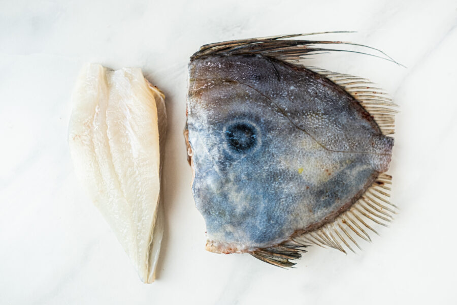 Gallo del lunar refrigerado sin espinas ideal para los más pequeños de la casa. Fritos, a la plancha o guisados con patatas. Comprar pescado en Cádiz. Haz tu compra online de productos de mercado de abastos de Cádiz y te lo llevamos a tu casa. Mercados de Cádiz (+34) 698 98 41 46