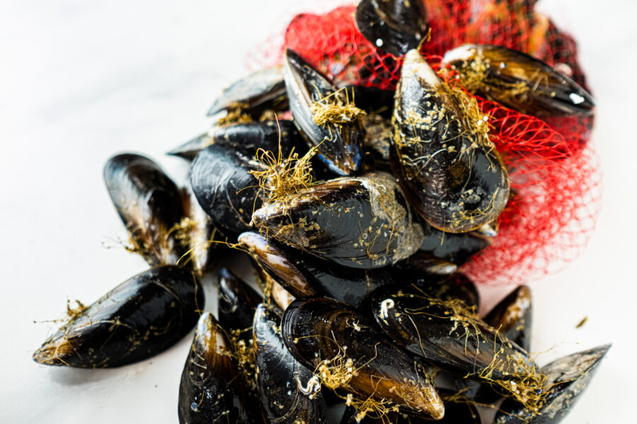 Mejillones vivos llenos y frescos de las costas de Galicia ideal para cocinarlos al vapor y rellenos. Comprar pescado en Cádiz. Haz tu compra online de productos de mercado de abastos de Cádiz y te lo llevamos a tu casa. Mercados de Cádiz (+34) 698 98 41 46