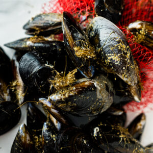 Mejillones vivos llenos y frescos de las costas de Galicia ideal para cocinarlos al vapor y rellenos. Comprar pescado en Cádiz. Haz tu compra online de productos de mercado de abastos de Cádiz y te lo llevamos a tu casa. Mercados de Cádiz (+34) 698 98 41 46