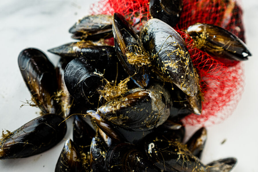 Mejillones vivos llenos y frescos de las costas de Galicia ideal para cocinarlos al vapor y rellenos. Comprar pescado en Cádiz. Haz tu compra online de productos de mercado de abastos de Cádiz y te lo llevamos a tu casa. Mercados de Cádiz (+34) 698 98 41 46