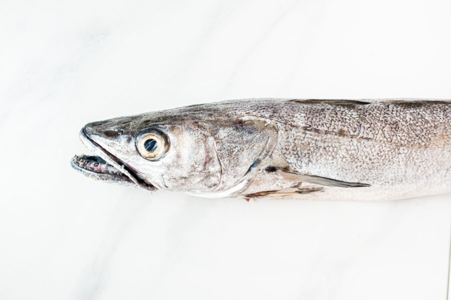 Merluza blanca fresca del norte capturada de manera tradicional con anzuelo una a una ideal para cocinarla frita, rebozada, guisada y empanada. Compra online en el mercado de abastos de Cádiz y te lo llevamos a tu casa. Mercados de Cádiz (+34) 698 98 41 46