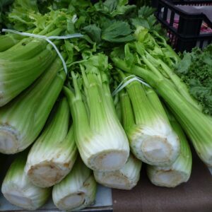 Los Mejores apios en el Mercado Central de Abastos de Cádiz. Verduras frescas de la huerta. Haz tu pedido online y te las enviamos a casa desde el Mercado de Abastos. Mercados de Cádiz servicio a domicilio