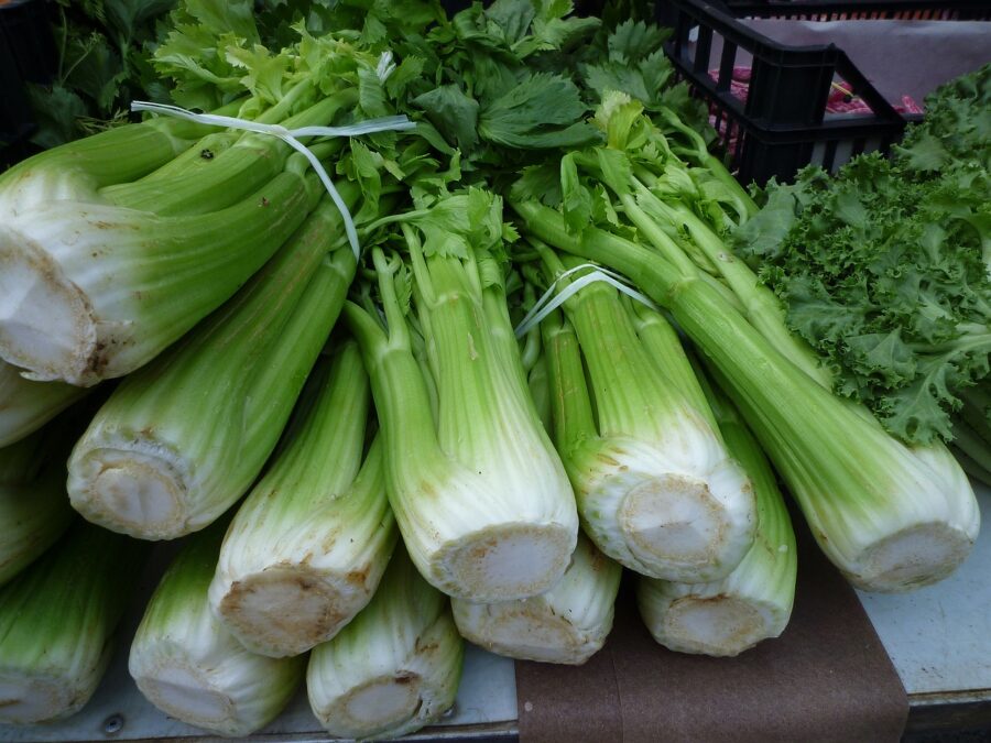 Los Mejores apios en el Mercado Central de Abastos de Cádiz. Verduras frescas de la huerta. Haz tu pedido online y te las enviamos a casa desde el Mercado de Abastos. Mercados de Cádiz servicio a domicilio