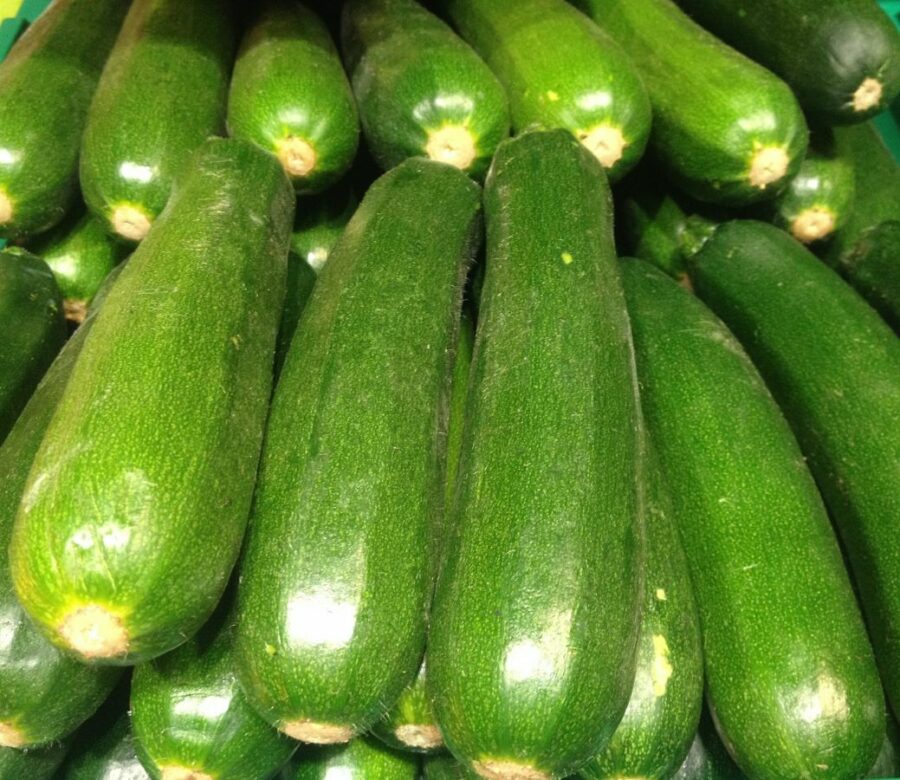 El mejor calabacín de la huerta de Conil en el Mercado Central de Abastos de Cádiz ideales para hacerlos en crema, puré, rellenos, al horno, rebozados o para pisto. Verduras frescas online. Mercados de Cádiz venta online