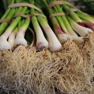 Las mejores cebolletas en el Mercado Central de Abastos de Cádiz. Verduras frescas desde la huerta a tu mesa. Compra online con Mercados de Cádiz