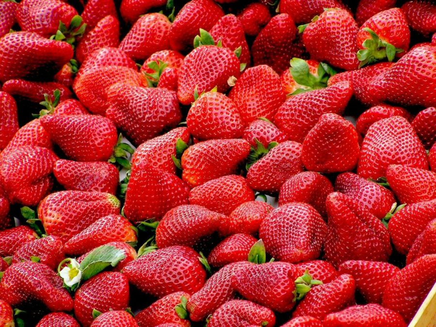 Fresas Fresas 900