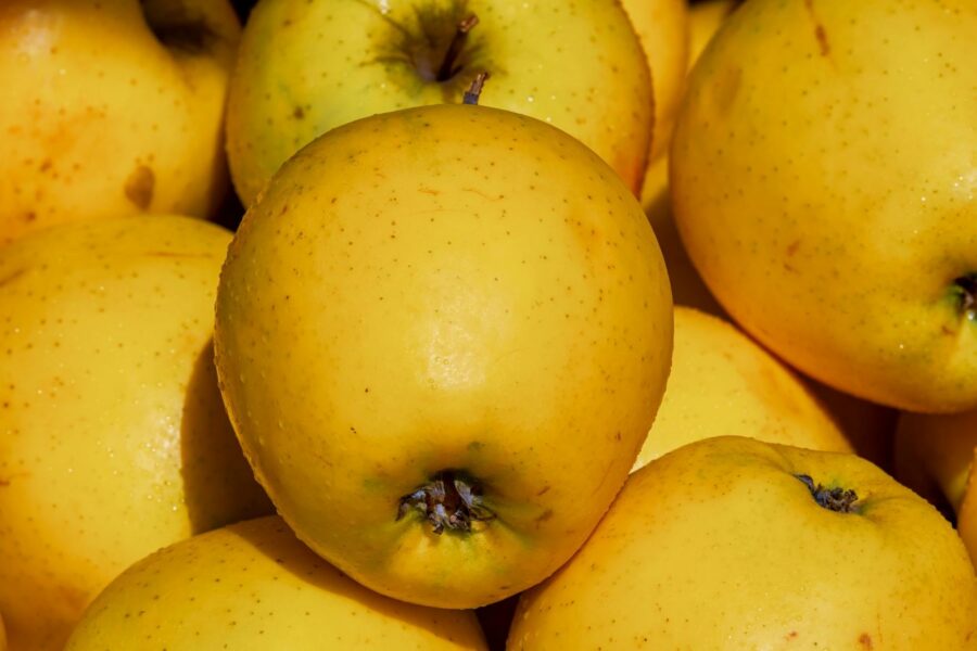 ¡Descubre la magnífica manzana Golden en MercadosdeCádiz.com! Si eres amante de las manzanas sabrosas y jugosas, no puedes dejar pasar la oportunidad de probar la variedad Golden. Con su color dorado y su sabor dulce y refrescante, cada mordisco es una explosión de frescura y satisfacción. La manzana Golden es perfecta para disfrutarla tal cual o para usarla en deliciosas recetas. En MercadosdeCádiz.com, seleccionamos cuidadosamente las mejores manzanas Golden para garantizar su frescura y calidad. ¡No esperes más y disfruta de esta exquisita fruta en casa! Visítanos en MercadosdeCádiz.com y déjanos llevarte la manzana Golden directamente a tu puerta con nuestro servicio de entrega a domicilio.