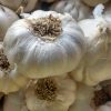 ¡Descubre los auténticos ajos blancos de Cádiz en mercadosdecadiz.com! Cultivados con esmero en la región, estos bulbos son seleccionados para brindarte calidad y sabor inigualables. Los ajos blancos no solo realzan tus platos favoritos con su distintivo color blanco, textura suave y sabor intenso, sino que también ofrecen beneficios para la salud. Sus propiedades antioxidantes fortalecen tu sistema inmunológico, mientras que su efecto antibacteriano y antiinflamatorio te mantienen protegido. Además, los ajos blancos contribuyen a mejorar tu salud cardiovascular al regular el colesterol y la presión arterial. ¡Compra en mercadosdecadiz.com y disfruta del sabor y los beneficios de los ajos blancos en tu hogar!