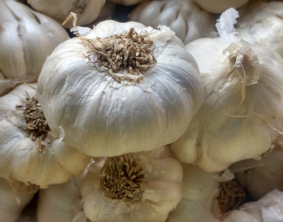 ¡Descubre los auténticos ajos blancos de Cádiz en mercadosdecadiz.com! Cultivados con esmero en la región, estos bulbos son seleccionados para brindarte calidad y sabor inigualables. Los ajos blancos no solo realzan tus platos favoritos con su distintivo color blanco, textura suave y sabor intenso, sino que también ofrecen beneficios para la salud. Sus propiedades antioxidantes fortalecen tu sistema inmunológico, mientras que su efecto antibacteriano y antiinflamatorio te mantienen protegido. Además, los ajos blancos contribuyen a mejorar tu salud cardiovascular al regular el colesterol y la presión arterial. ¡Compra en mercadosdecadiz.com y disfruta del sabor y los beneficios de los ajos blancos en tu hogar!