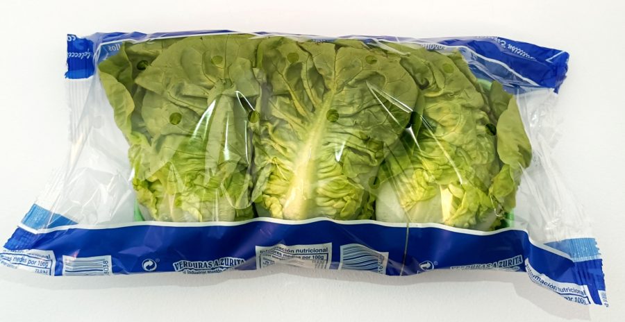 Cogollos de lechuga cogollos900